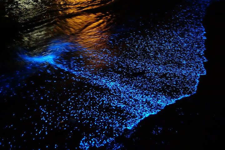 코코아 비치의 Florida Bioluminescence Kayaking Tour (Titusville